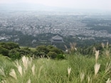 もっと奈良を味わいたい　二度目の奈良観光はココへ！