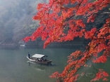 京都の嵐山、紅葉おすすめスポットを一日で巡るコース