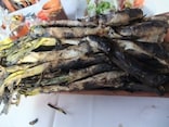絶品ネギ料理「カルソッツ」とは？ スペイン冬の名物！