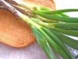 長ネギの緑の部分の使い方！ 美味しい食べ方・保存法