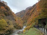 トンネルを抜けると山いっぱいに！ 日本三大峡谷のひとつ、新潟「清津峡」を彩る美しい紅葉・黄葉