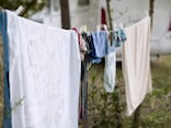 例年の94倍に増えた地域も…大量発生中のカメムシを洗濯物に寄せ付けない7つの方法