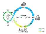 木を伐って家を建てることが脱炭素に！ 地球の環境を守る住友林業のウッドサイクル