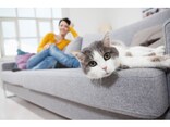 今年こそ100万円を確実に貯める！今すぐ始めるべき3つの習慣