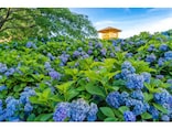 【2025年】6月に株価が上がりやすい業種トップ3！
