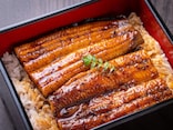 最近よく耳にする「メスうなぎ」って何ですか？ オスうなぎと味や食感はどう違う？【専門家が解説】