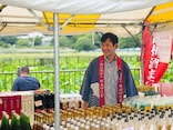 「僕には貯金がほぼありません」映画『はたらく細胞』監修医が明かす意外なお金の使い方