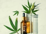 Q. 「CBD」とは、要は大麻なのでしょうか？ CBD入り製品はなぜ違法ではないのですか？