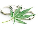 大麻所持で人気俳優が逮捕！ 「大麻取締法違反」ではなく「麻薬取締法違反」なのはナゼ？