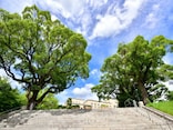神戸市9区で「教育熱心」だと思うエリア2位は「灘区」、では1位は？【2025年最新】