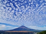 Q.うろこ雲、いわし雲、さば雲……秋の雲を見分けるコツはありますか？【歳時記の専門家が解説】