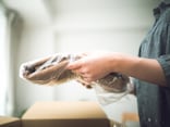 「これは本当に必要だったのか…」節約するつもりだったのに。26歳女性が“ポイ活”で本末転倒な失敗