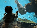 「子どもたちとの時間はかけがえのないもの」34歳男性が家族旅行のために見直した"お金の優先順位"