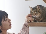 旅行好きが猫を飼うと一生貧乏に？ 猫にかかるお金と後悔しないための考え方