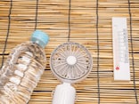 昨年夏の電気代1800円「公営住宅にエアコンなし」67歳女性のひとり暮らし