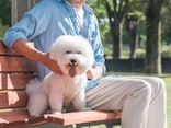 45歳会社員、貯蓄5000万円。仕事を辞めてパートナーとクレープ屋を開きたいが生活の不安も
