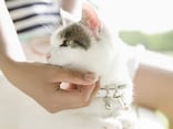 【2026年8月6日から募集開始】個人向け国債・固定5年を金利2.06％で100万円購入すると、半年後にもらえる利息はいくら？
