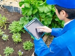 農林水産・鉱業の「平均年収」はいくら？ 年代別の推移を紹介