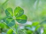 金運がアップする「前兆」5つ。日常の中に隠れている“幸運のサイン”とは？