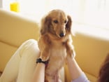 公務員は個人向け国債をどう利用する？家計タイプ別に考える資産形成