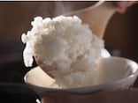 炊きたてご飯をおいしく冷凍保存するタイミング・解凍のコツ