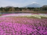 富士山を眺める絶景おすすめスポット10選（静岡・神奈川・山梨）