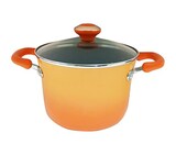  マイヤー エボ シチューポット 20cm オレンジ ND-868