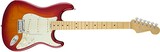  AM ELITE STRAT MN