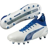  エヴォタッチ プロ