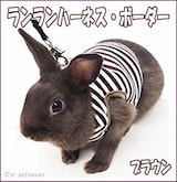  うさぎのランランハーネス