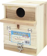  セキセイインコ巣