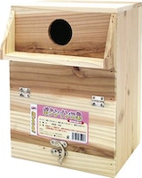  ボタンインコ巣