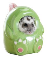  ハムちゃんのこすぷれハウス