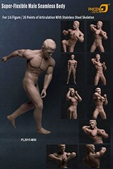  1/6スケール 超柔軟性シームレス男性素体