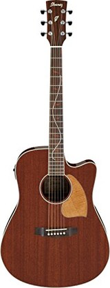  エレクトリック・アコースティックギター