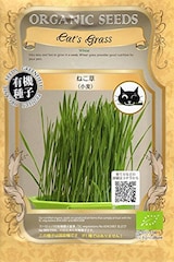 cat's grass