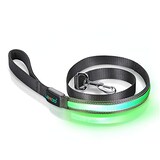  犬 光るリード 充電式LED