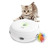  猫じゃらシッター