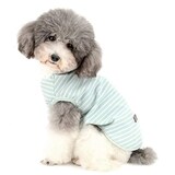  犬服 Tシャツ  ボーダー柄