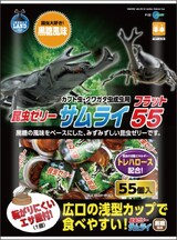  サムライフラット55
