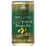  厳選素材国産しょうがのジンジャーエール