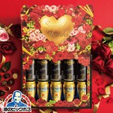   ビールギフトセット beer suntory_vdgift2020