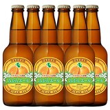  みかんエール 6本セット