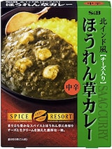  スパイスリゾート　北インド風ほうれん草カレー　チーズ入り