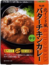  スパイスリゾート　北インド風バターチキンカレー