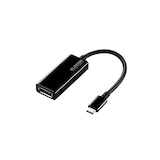  USB C to DisplayPort