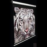  手動スクリーン