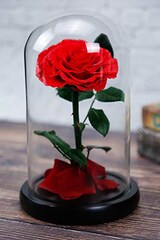  Beauty and The Beast Rose プリザーブドフラワー