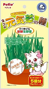  ネコの元気草の種