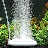 水族館エア盤 エアーストーン